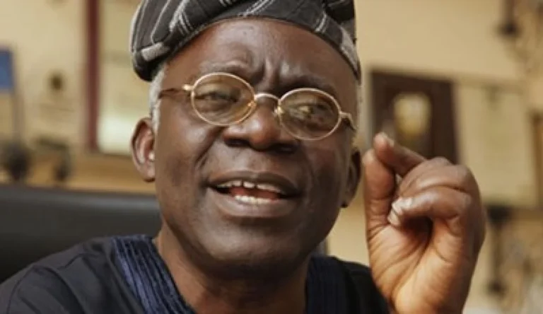 “All States Can Pay Minimum Wage,” Falana Stated